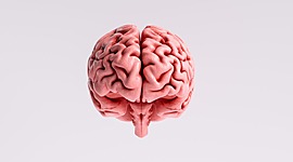 Timeline: Act. 1.2 Tarea Unidad 1. Línea de tiempo “Antecedentes históricos del estudio de la Biología del comportamiento”