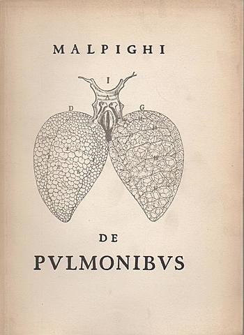 Marcello Malpighi