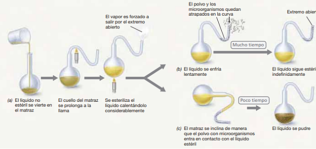 Louis Pasteur (1822-1895)