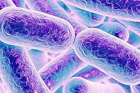 Microbiología moderna