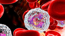 Timeline: Historia de la Inmunología (Maria Fernanda Pilotzi Cuahutle)