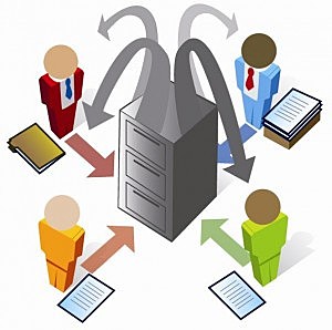 LAS FUNCIONES DE LAS ORGANIZACIONES