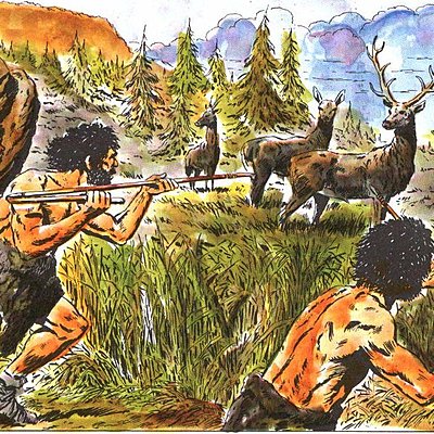 Timeline: Linea del tiempo