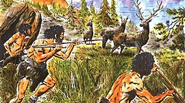 Timeline: Linea del tiempo