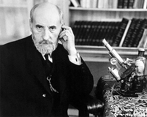 Santiago Ramón y Cajal estudia la estructura íntima del sistema nervioso