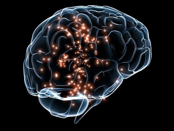 Principios de la neurociencia cognitiva