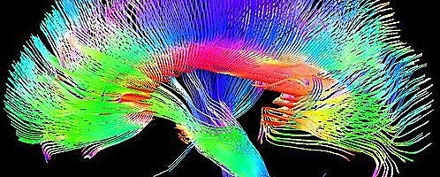 Surge la psicología cognitiva