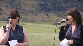 Timeline: SMART Goal Log