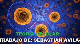 Timeline: Teoria celular