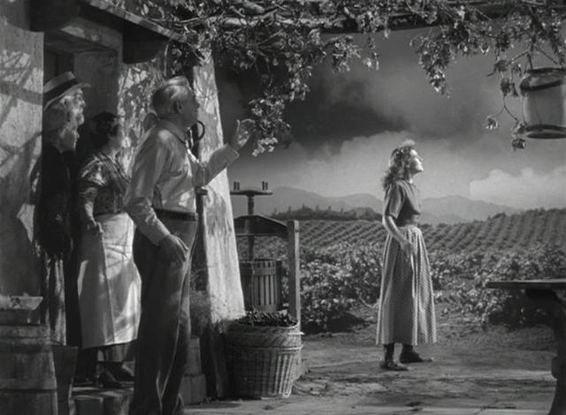 Augmenta la productivitat agrària i el desenvolupament rural