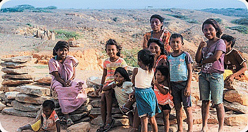 Reconoció la diversidad étnica y cultural del país. Creó mecanismos para que los ciudadanos defendiesen sus derechos. Estableció mecanismos de participación, como el plebiscito y la revocatoria del mandato.