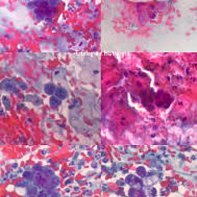 Timeline: Historia de la histología