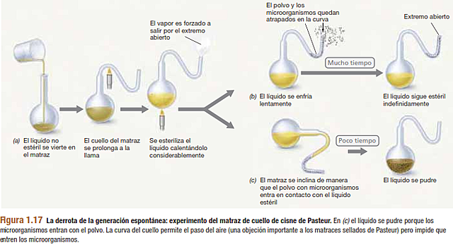 PASTEUR REFUTA LA TEORÍA DE LA GENERACIÓN ESPONTÁNEA.