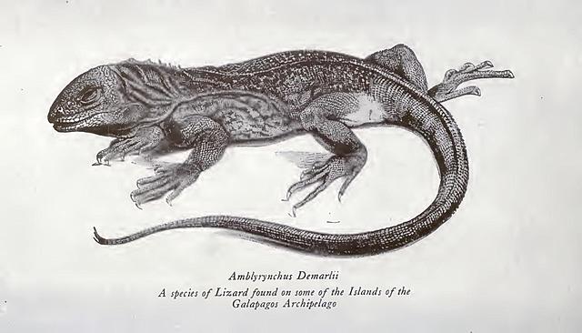 The Voyage of the Beagle First Published