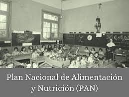 Diseño del Plan Nacional de Alimentación y Nutrición (PAN)