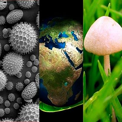 Timeline: Personajes que son relevantes en la Biología contemporánea.