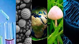 Timeline: Personajes que son relevantes en la Biología contemporánea.