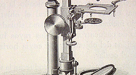 Timeline: Aportaciones a la biología moderna