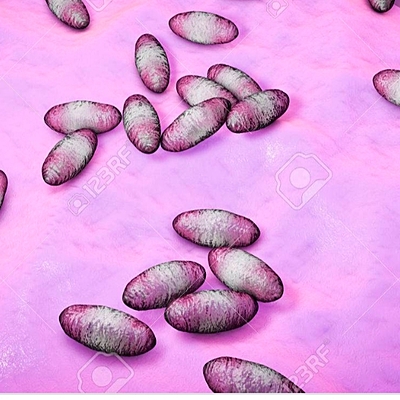 Timeline: Historia de la microbiología y otros hechos historicos