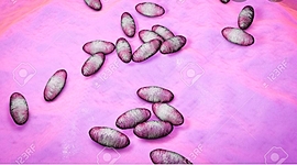 Timeline: Historia de la microbiología y otros hechos historicos