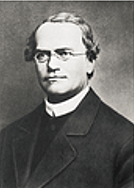 Gregor Mendel