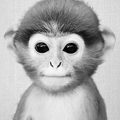 Timeline: Time toast tutorial - AP World