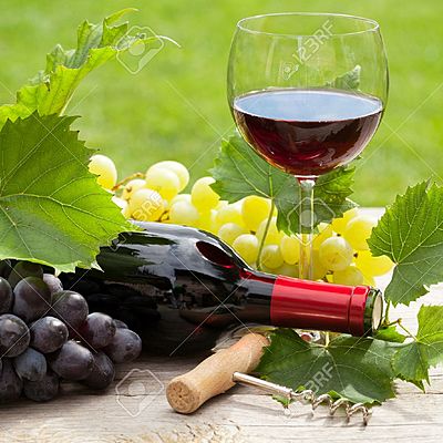 Timeline: Historia del Vino