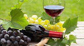 Timeline: Historia del Vino