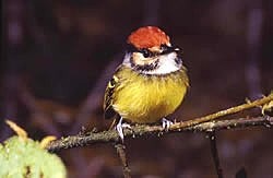 POLÍTICA NACIONAL DE BIODIVERSIDAD.