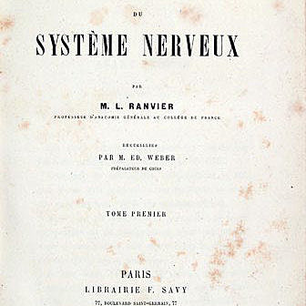 Louis-Antoine Ranvier