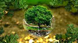 Timeline: Tratados y acuerdos internacionales medio ambientales. Universidad de la costa CUC. - Omar Ahumada, Marianella Quiroz, José Guerra, Ginet Palma.