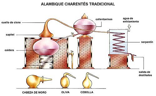 El surgimiento de los “Elixires”