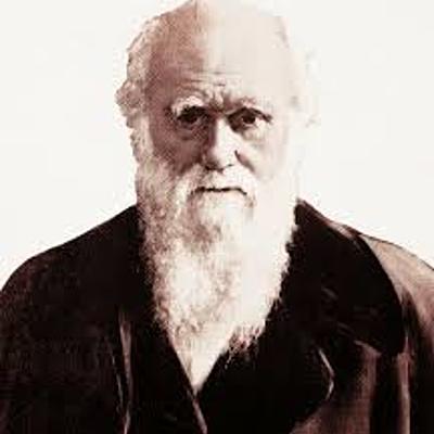 Timeline: Biología Moderna