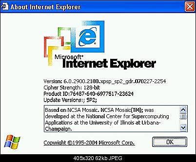 Internet Explorer dominó absolutamente el mercado y Microsoft pisó el freno