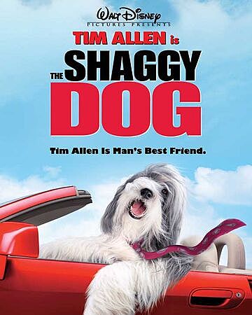 The Shaggy Dog