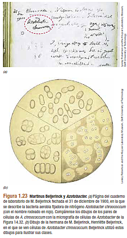 FORMULACIÓN DE LA TÉCNICA DEL CULTIVO DE ENRIQUECIMIENTO.