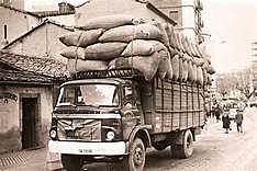 organización profesional de gerentes de logística