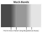 Mach Bands