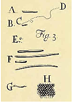 PUBLICACIÓN DE LAS INVESTIGACIONES DE ANTONI VAN LEEUWENHOEK