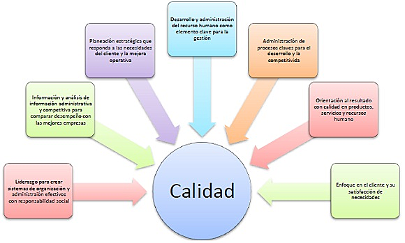 Incidencia del factor humano en la calidad