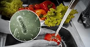 Epidemia de cólera y alimentos