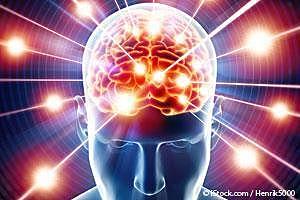 Cerebro en 5000 años.