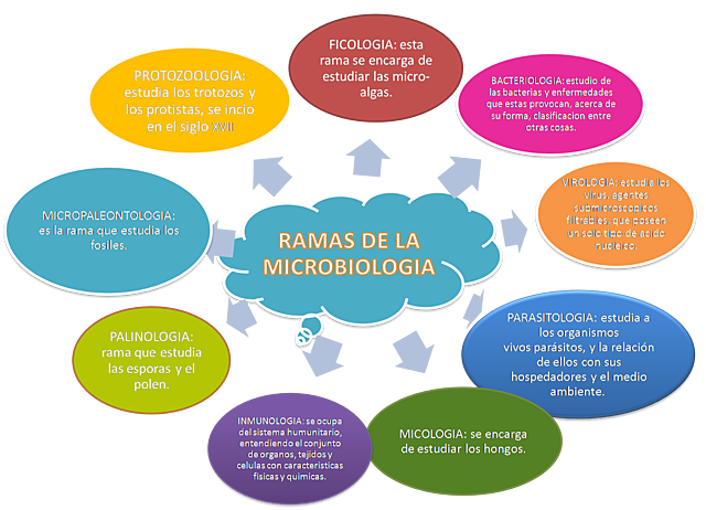 DESARROLLO DE LAS SUBDISCIPLINAS DE LA MICROBIOLOGÍA.