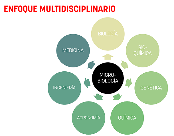 GENÉTICA MICROBIANA.