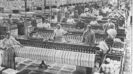 Timeline: Nota Laboral de la Colonia