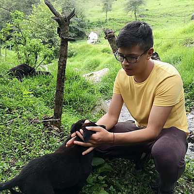 Timeline: prueba de linea del tiempo