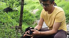 Timeline: prueba de linea del tiempo