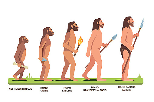 Evolución