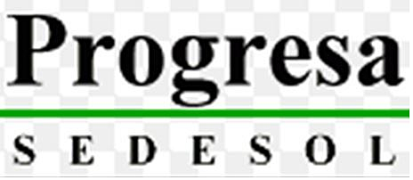 Progresa (Programa de Educación, Salud y Alimentación) cuya función era atender las diferentes causas de la pobreza