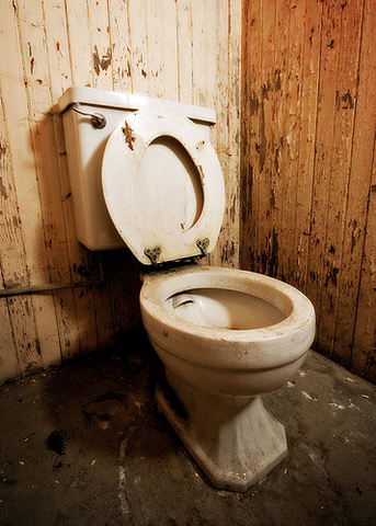 The first flushing toilet